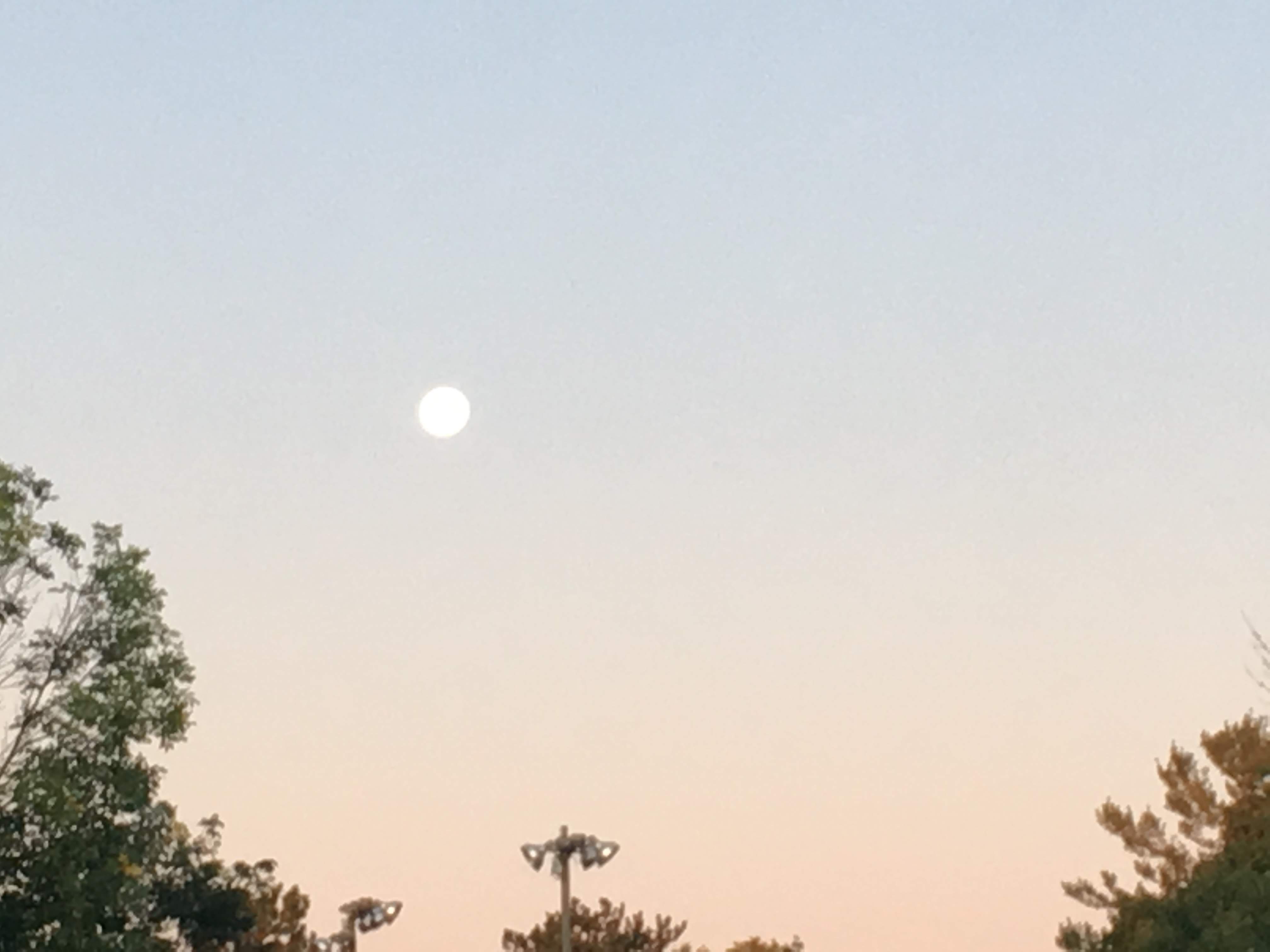 Full moon in the morning sky